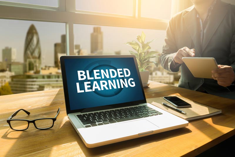 frida-blended-elearning