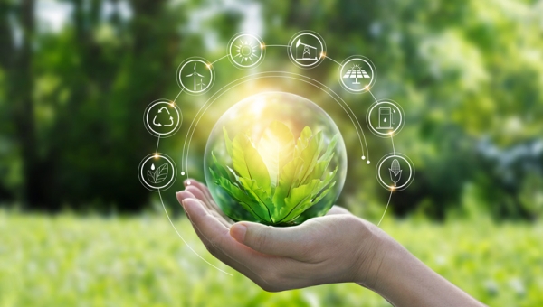 Eco-sostenibilità: cosa significa e perché è importante?
